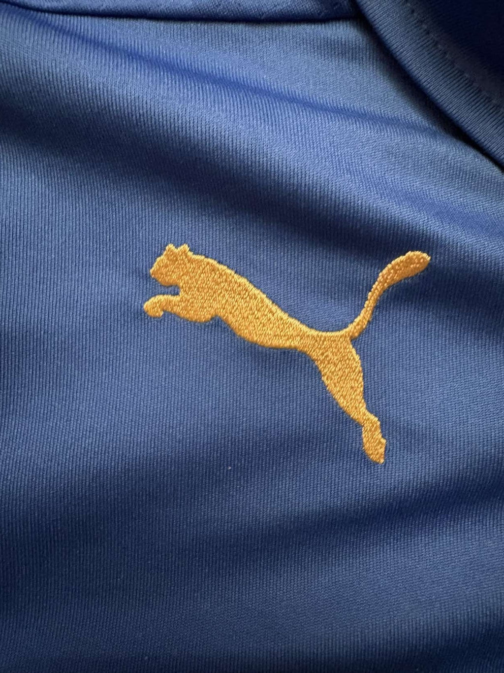 Puma logo on the 2014 Italy home shirt