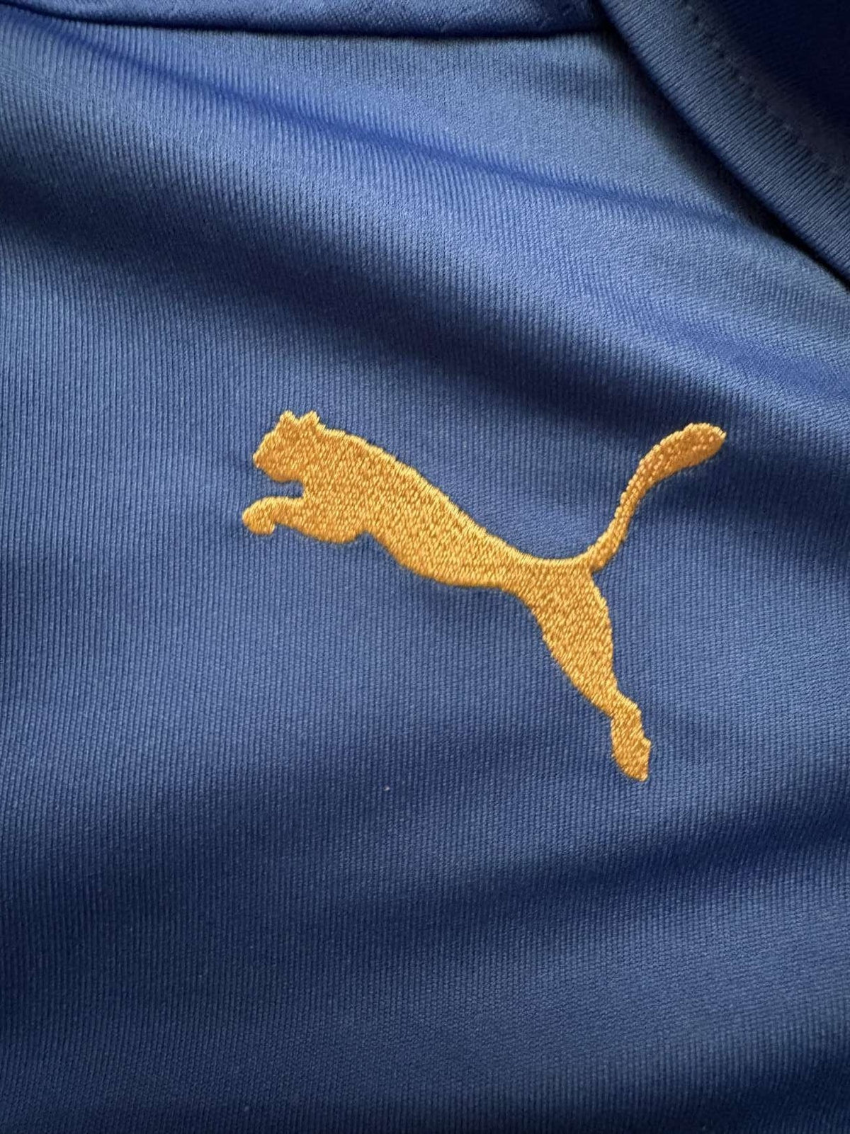 Puma logo on the 2014 Italy home shirt