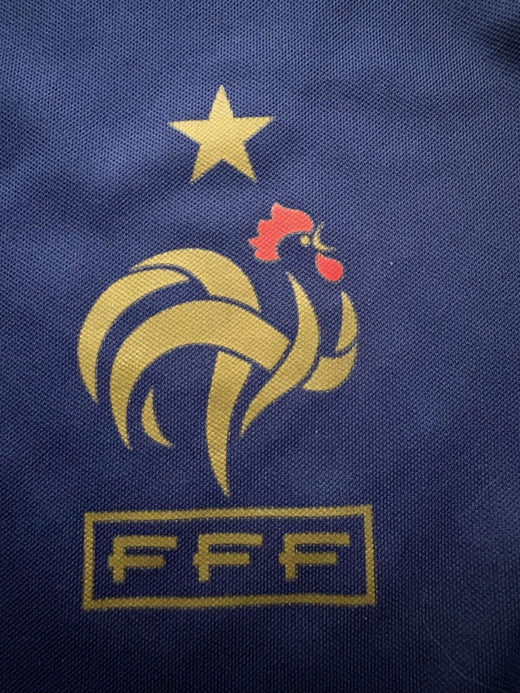 France crest on the 2010 France home shirt