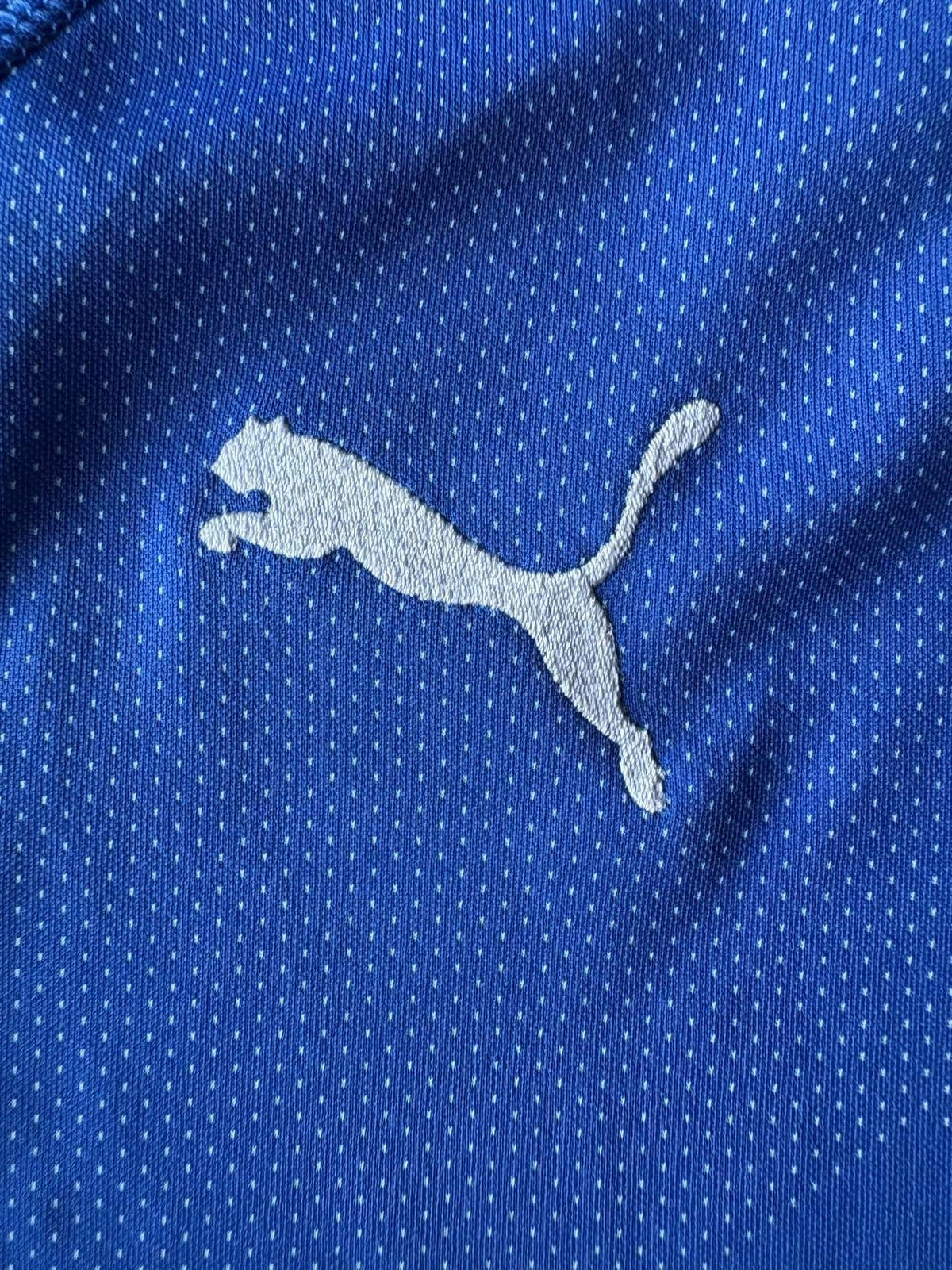 Puma logo on the 2018 Italy home shirt