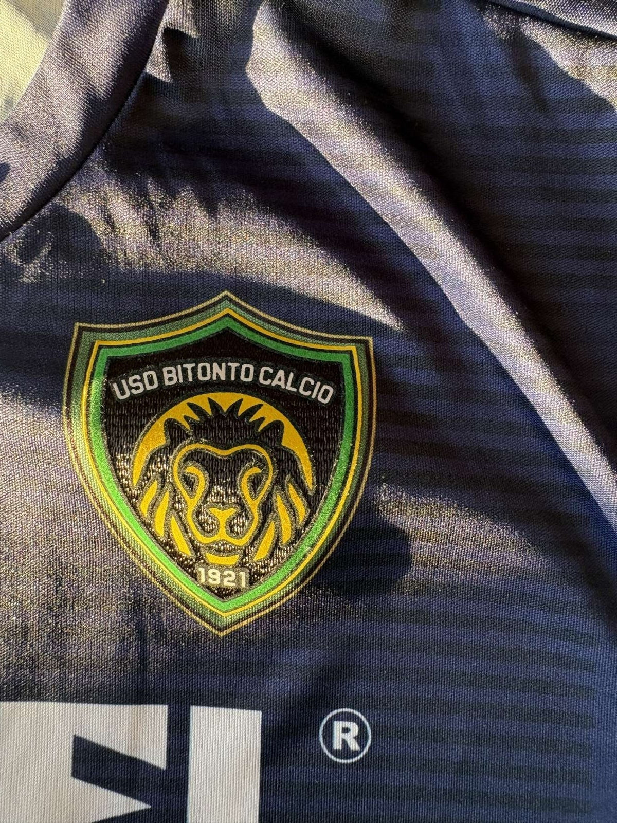 USD Bitonto crest on the 2019/20 USD Bitonto third shirt