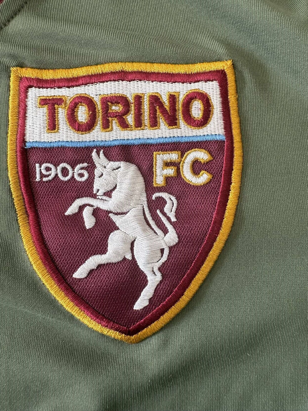 Torino crest on the 2010/11 Torino goalkeeper shirt