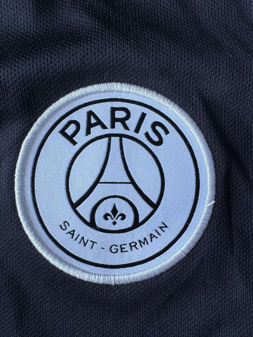 Paris Saint-Germain crest on the 2018/19 Paris Saint-Germain Champions League shirt