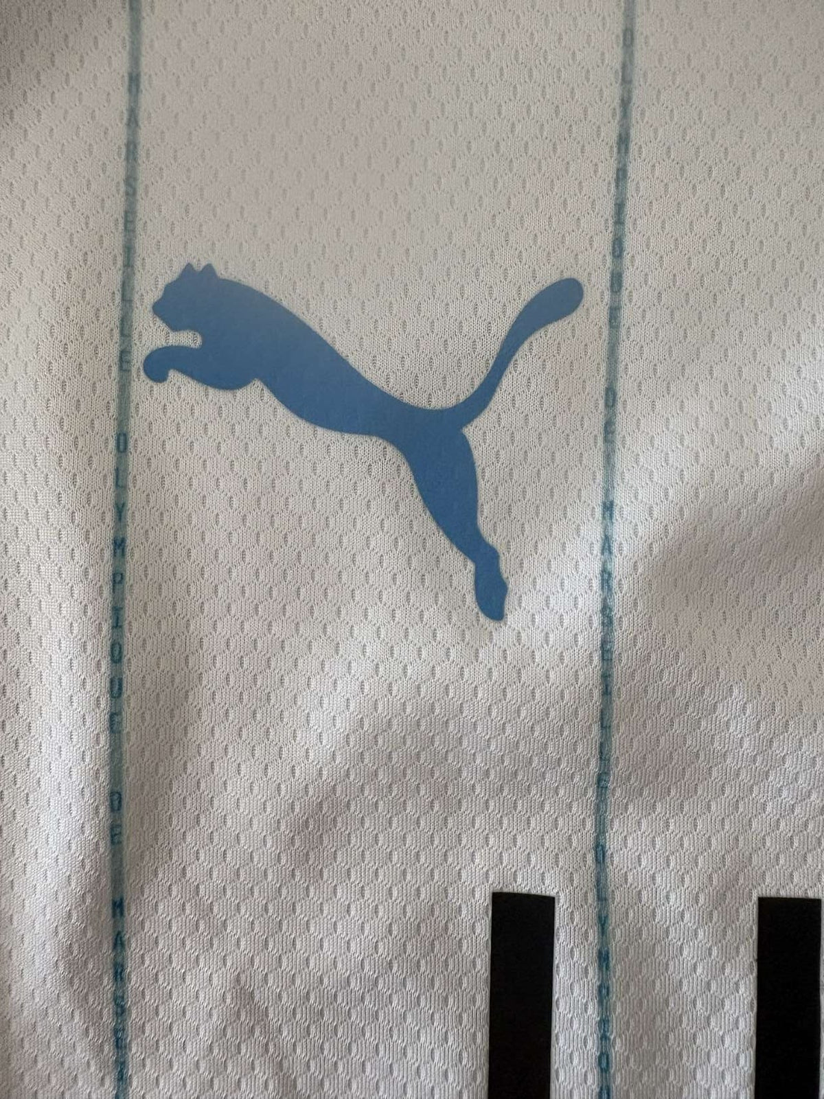 Puma branding on the 2019/20 Marseille home shirt